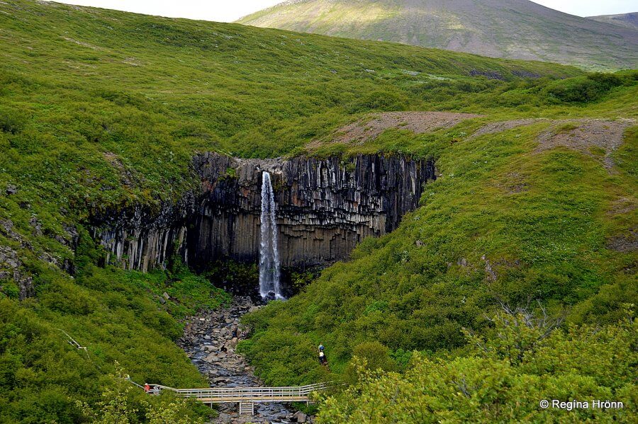 Водопад Свартифосс в Исландии
